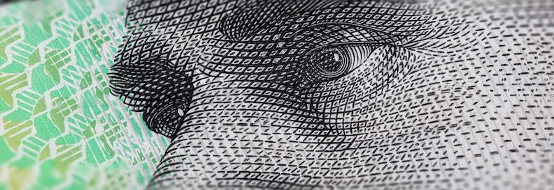 Securing Government Funding through Strategic Government Engagement